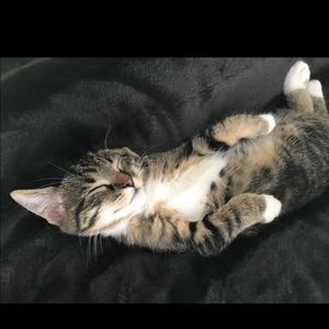 Meet your Posher, Tania